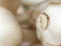 Znate li za autohtoni rodaljički luk? Uzgaja ga Marina Šunić, najuzornija hrvatska seoska žena