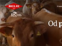 Podravka i Žito najizgledniji kupci Fortenovinog agrobiznisa, šanse za mađarskog i srpskog investitora u izbornoj godini nikakve
