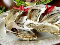 Pomor dagnji u Malostonskom zaljevu