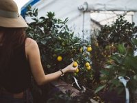 U blokadi 1000 OPG-ova, u 5 godina udvostručili dug