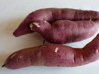 Na obroncima Butonige rastu batat i kiwano