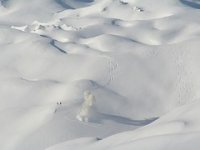 Bjelolasica se prodaje u pet cjelina, najskuplja 39 mil. kn