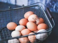Što donosi novi Pravilnik o tržnim standardima za jaja?