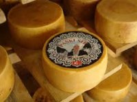 Vuna i sir – blago otoka Paga na Europskom danu vune u Rimu