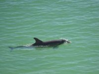 U Istri otvoren prvi hrvatski vodeni park