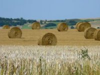 U Drenovcima se gradi Poljoprivredni poduzetnički inkubator vrijedan 12,4 milijuna kuna