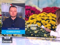 S približavanjem Svih svetih cvjećari diljem Hrvatske rade punom parom