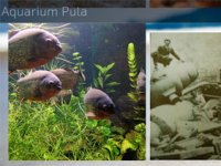 Proglašene najuspješnije istarske tvrtke u 2021.