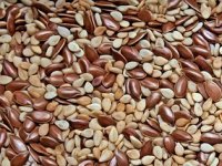 APPRRR: Krenulo je podnošenje zahtjeva za potporu sjetve certificiranog sjemena soje