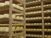 Zašto je obitelj Tomaić zatvorila siranu u Otočcu i preselila proizvodnju?