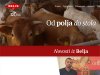 Belje već 325 godina razvija domaću poljoprivredu i proizvodnju hrane