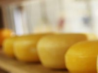 Potrošački kod: Kako se kontrolira domaća hrana