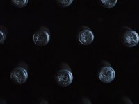 Najveći šoltanski vinogradar planira izgraditi prvu otočnu vinariju