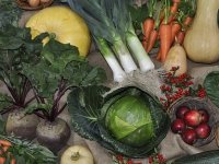 OPG Budić: Uzgoj i zaštita povrća na prirodan način