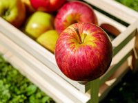 Voćari za jabuke traže 65 centi po kilogramu