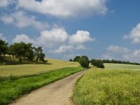Otvoren je natječaj za izbor najboljeg hrvatskog mladog poljoprivrednika/poljoprivrednicu