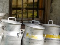 Nastavljen pad otkupne cijene mlijeka na domaćem tržištu