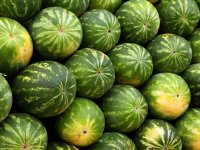 Ljetni hit na tržištu: Kako lubenica pokreće globalnu trgovinu