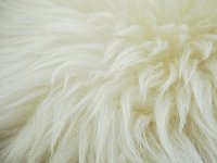 U Otočcu otvorena tvornica certificiranog organskog gnojiva od sirove ovčje vune