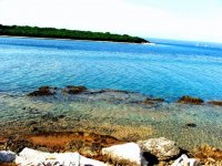 Brijuni Rivijera bilježi rekordne rezultate: Poslujući kvalitetno i zdravo - vraćamo dio sredstava u Istru