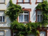 Privlačenje ulaganja kroz besplatan najam može početi