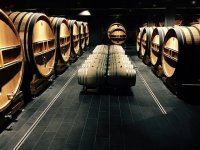 Otvoren natječaj za vinarije: Do 1,5 milijuna eura za ulaganja