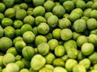 Vertikalna farma mladog Roka sa Zlarina