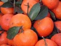 Matko Filipović: Stanje s mandarinama? Skuplja je poštanska marka s njenim likom od nje