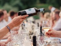 Sedam činjenica o hrvatskoj proizvodnji vina