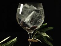 Bivši piloti razvili dva nova proizvoda, njihov džin leti za Hong Kong i Kanadu