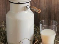 Njemačkom farmeru litru mlijeka plaćaju po cijeni pereca - gotovo euro