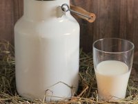 Preko farme pataka, koze i kozjeg mlijeka do vrhunskog jogurta