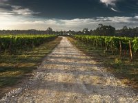 Denis Rako: Nema tretiranja napamet, podaci s meteo stanice kažu kad treba