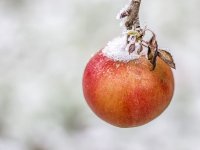 Stroj sam platio 40.000 eura, već se isplatio jer sam spasio voćnjake