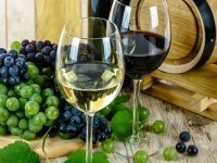 Decanter 2025: Sjajan uspjeh hrvatskih vinarija, imamo platinu te čak 14 zlatnih medalja!