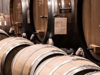 Kad vino piše povijest - američka obitelj otkrila korijene u slavonskom podrumu