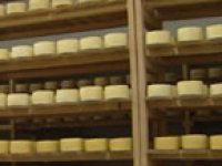 12 hrvatskih proizvoda ušlo je na listu najboljih na svijetu