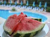 Proizvođači lubenica strahuju od jeftine uvozne konkurencije