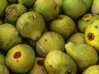 Obitelj Kaštelan: Začetnici ekološke poljoprivrede na otoku Rabu