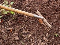 Radovi u rujnu: Berba, skladištenje, priprema zimnice, a čeka nas i sjetva