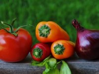 Degmečići povrće uzgajaju bez kopanja, svake godine nadodaju sloj komposta