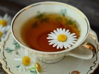 Čaj od podravske kamilice piju čak u Engleskoj i Japanu