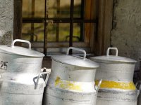 Prekid proizvodnje mlijeka najavilo 50 posto hrvatskih farmi?!