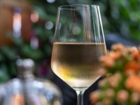 Dvaput bronca za Vina Erdut na Decanteru 2025!