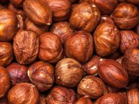 Matija Mlakar sjedinio svoju ljubav prema pčelarstvu s obiteljskom proizvodnjom lješnjaka