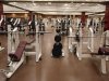Bjelovarčani krenuli u globalni pohod: 'Izvezli smo sprave za fitnes u Kaliforniju, to je kao da Talijanima prodate pizzu'