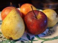 Štete od mraza u RH 105 milijuna eura