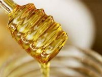 Otvara se laboratorij za kontrolu meda