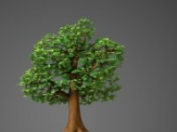 Svijet treba ulagati u održivu poljoprivredu i zelenu infrastrukturu