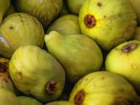 ANA MATULIĆ:”Dok je tradicionalni aceto balsamico od grožđa, naš je od smokve”